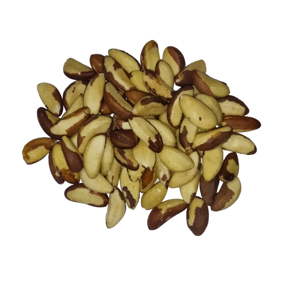 Castaña Tipo Medium